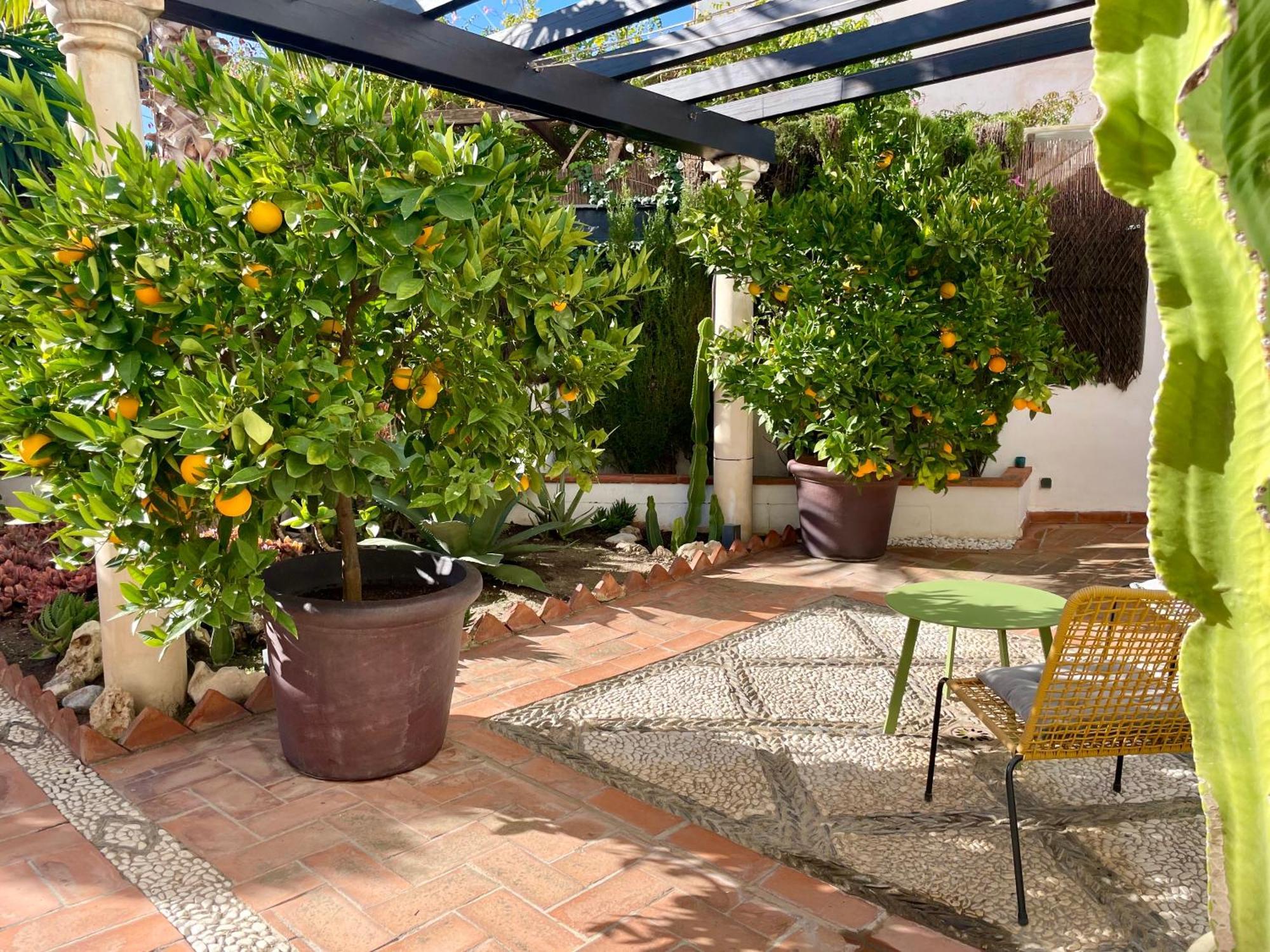 San Miguel B&B กรานาดา ภายนอก รูปภาพ